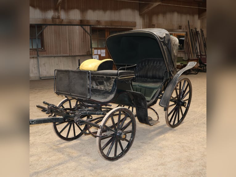 Viktoria Kutsche Mayer Munich - Historic Original Paintwork