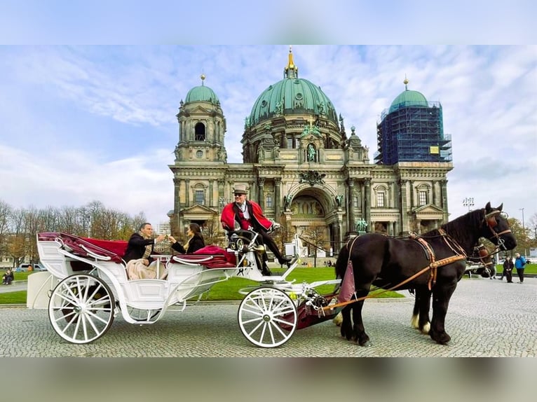 Vis-à-vis carriage / custom-made design