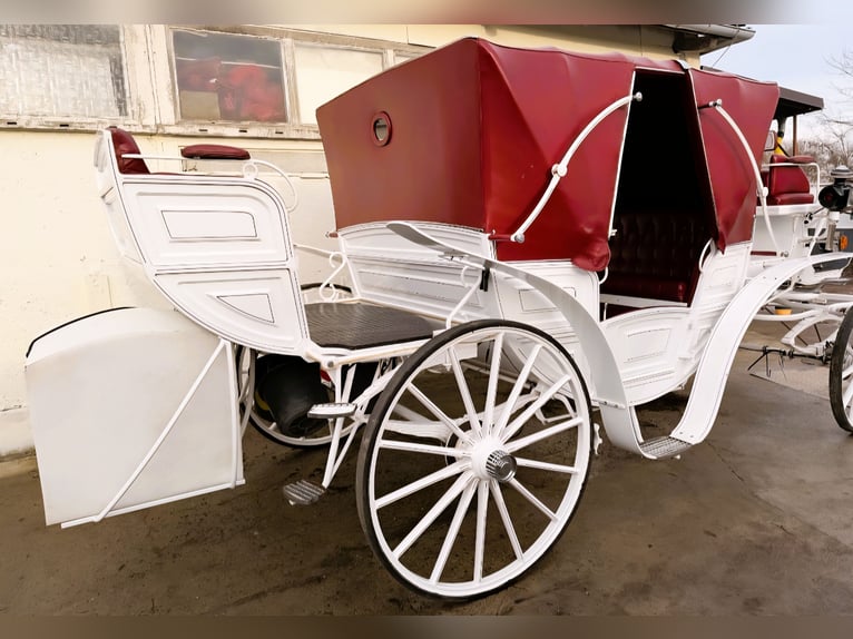 Vis-à-vis carriage / custom-made design