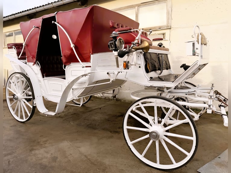 Vis-à-vis carriage / custom-made design