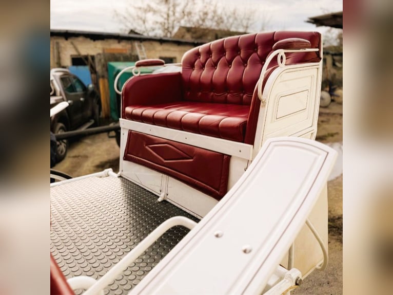 Vis-à-vis carriage / custom-made design