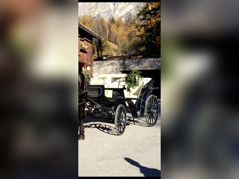 Vittoria model carriage
