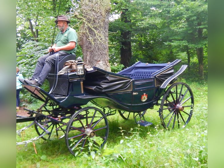 Wedding carriage for draft horses Landauer
