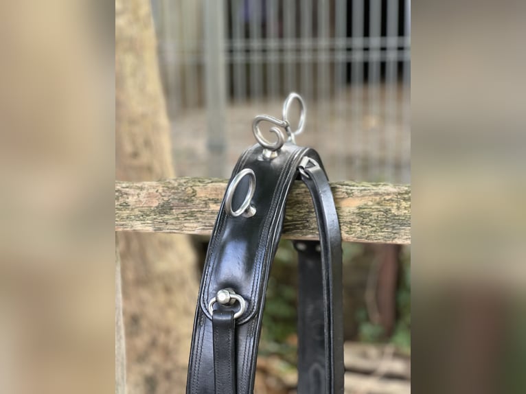 2-Spänner Brustblattgeschirr Leder für WB komplett