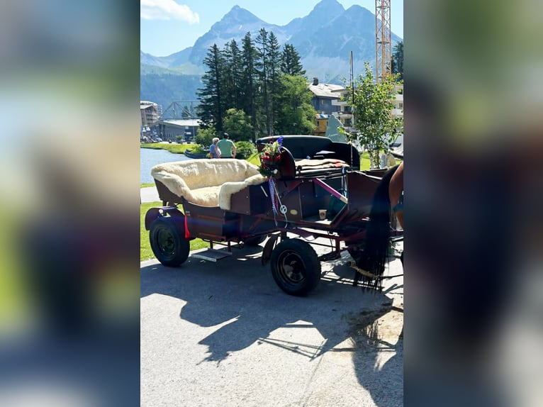 Carriage