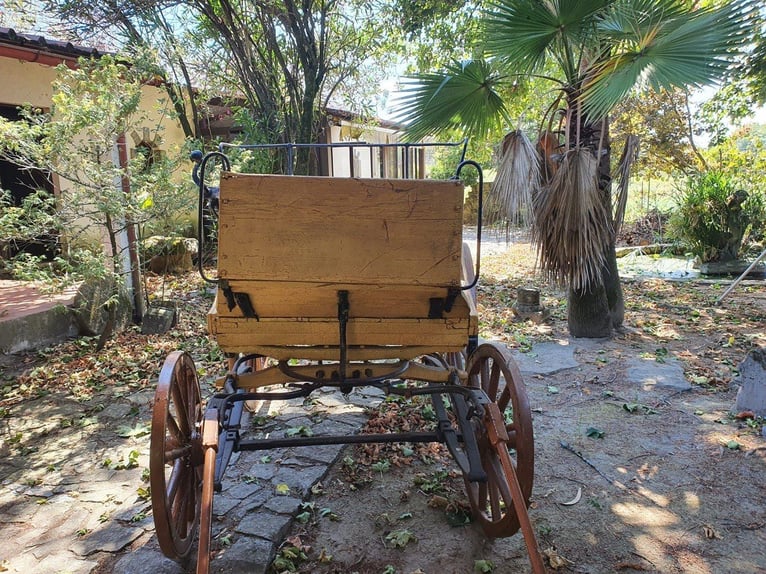 Authentic Antique Horse-Drawn Farm Wagon – Portugal