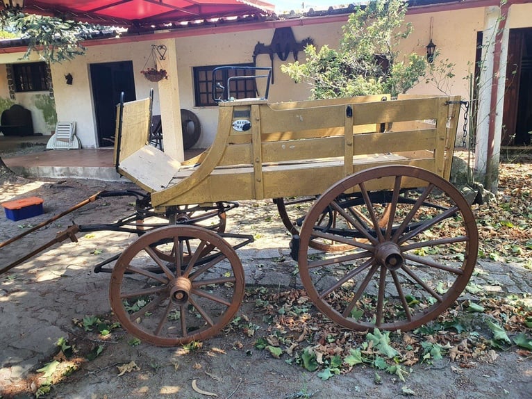 Authentic Antique Horse-Drawn Farm Wagon – Portugal