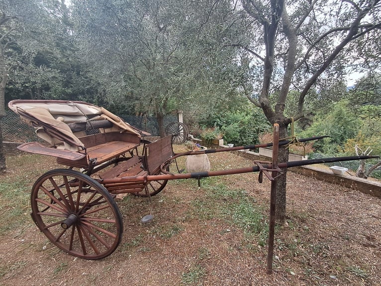 Authentic Old Cabriolet