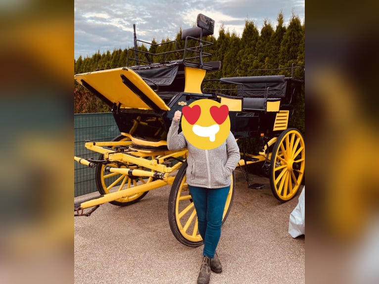 Carriage for Large Horses