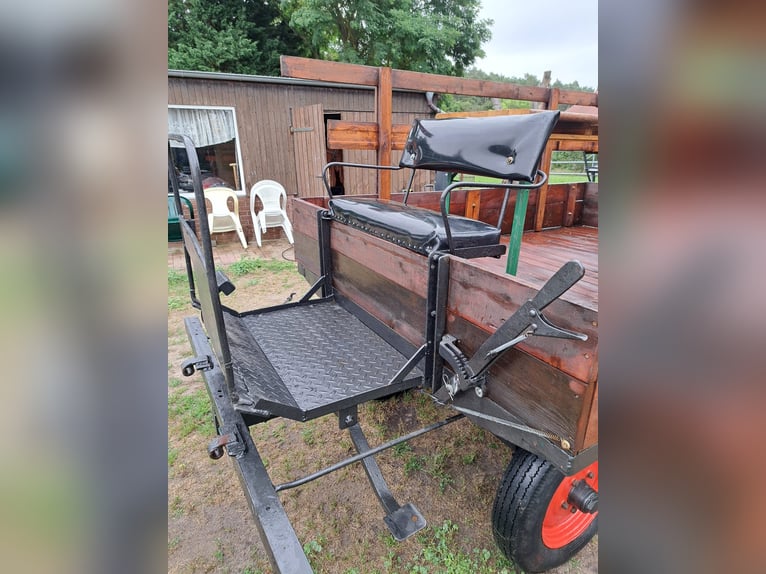 Carriage / Horse-drawn wagon