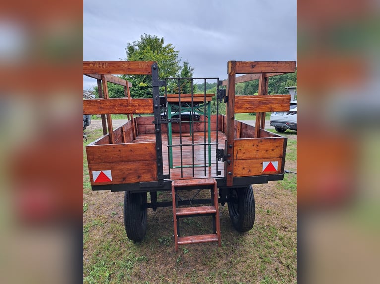 Carriage / Horse-drawn wagon