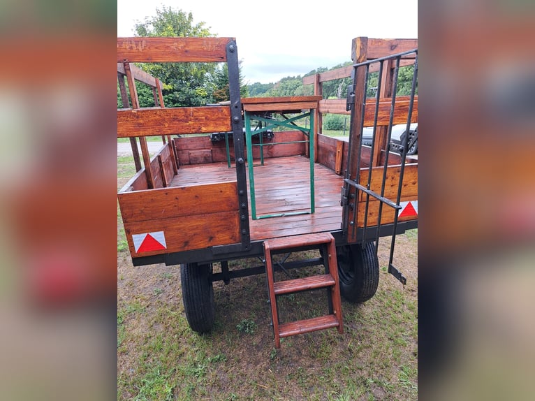 Carriage / Horse-drawn wagon