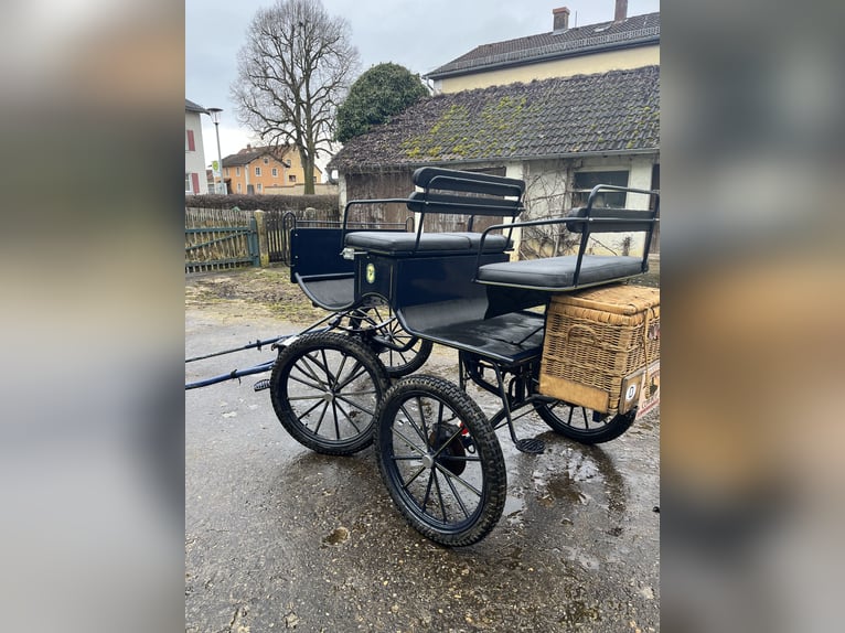 Carriage, single- and pair-driven