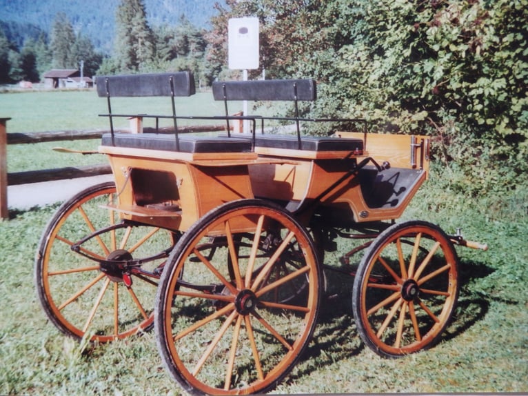 Horse-drawn carriage Kühnle hunting wagon, natural finish, with bridle and pole