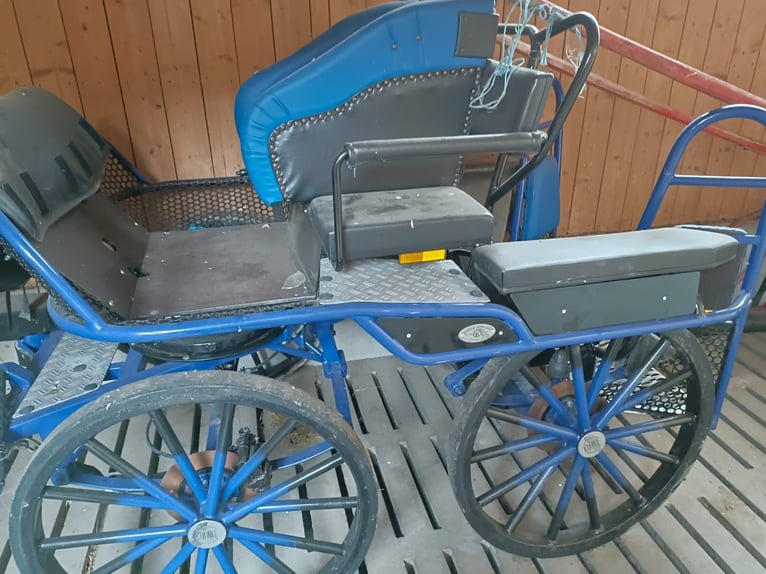 Kühnle 4-Horse Marathon Carriage