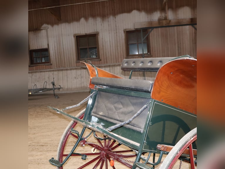 Kühnle Dos a Dos Kutsche Zweirädig Top Zustand Kutsche