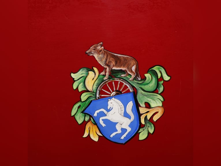 Kühnle Spider Leicht Einspänner Gummibereift Scheibenbremsen