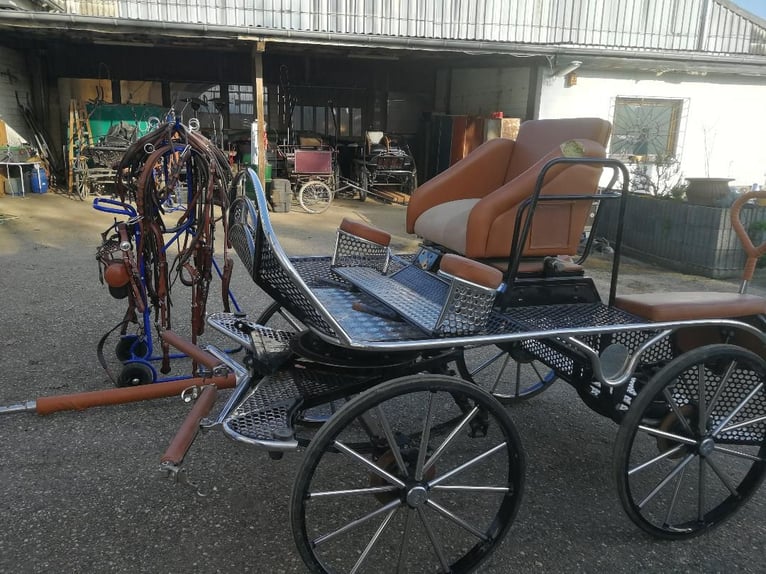 Top-Class Marathon Carriage