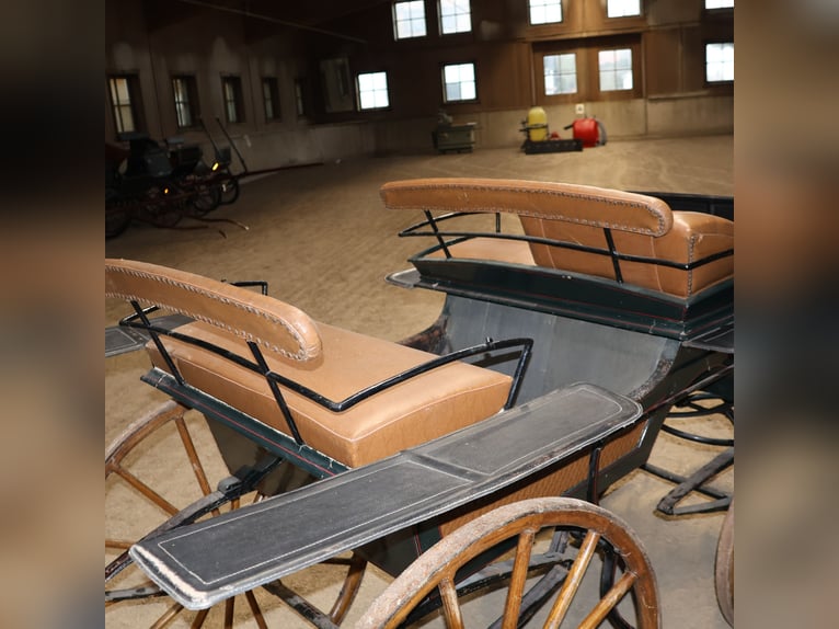 Ungarischer Jagdwagen Pirschwagen Einspänner Leicht Kunstleder