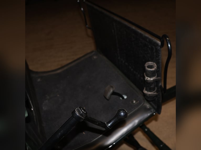 Vis-à-Vis carriage, newly restored, 4-horse team, leather harness and trunk