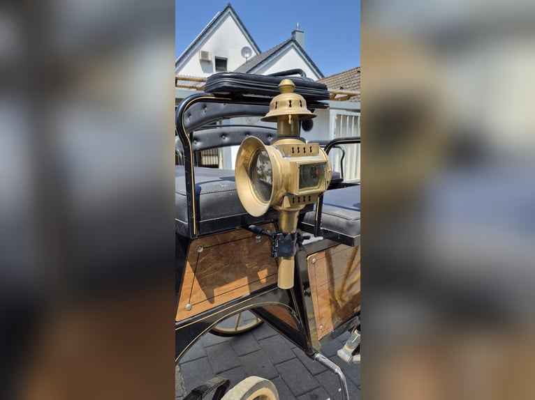 Wagonette for Large Horses