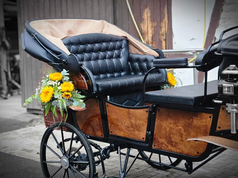 Beautiful Vis-à-Vis Wedding Carriage Pony