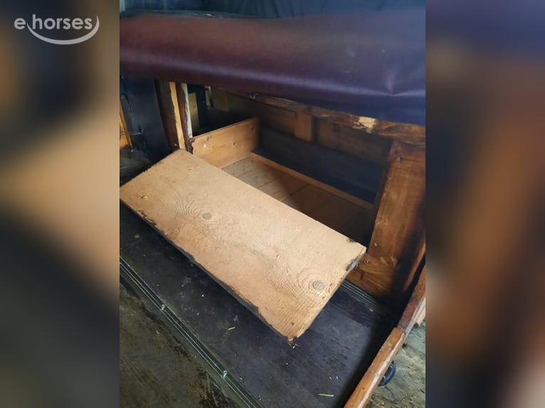 Carriage Driving Pony / Small Horse