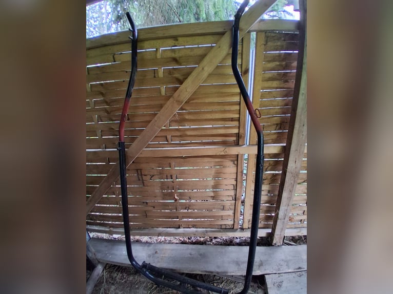 Carriage, marathon vehicle, suitable for single and pair harness