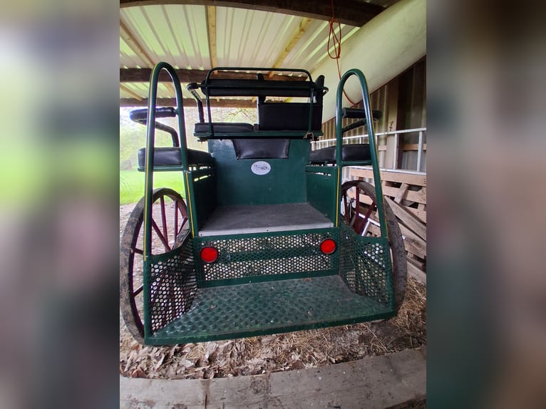 Carriage, marathon vehicle, suitable for single and pair harness
