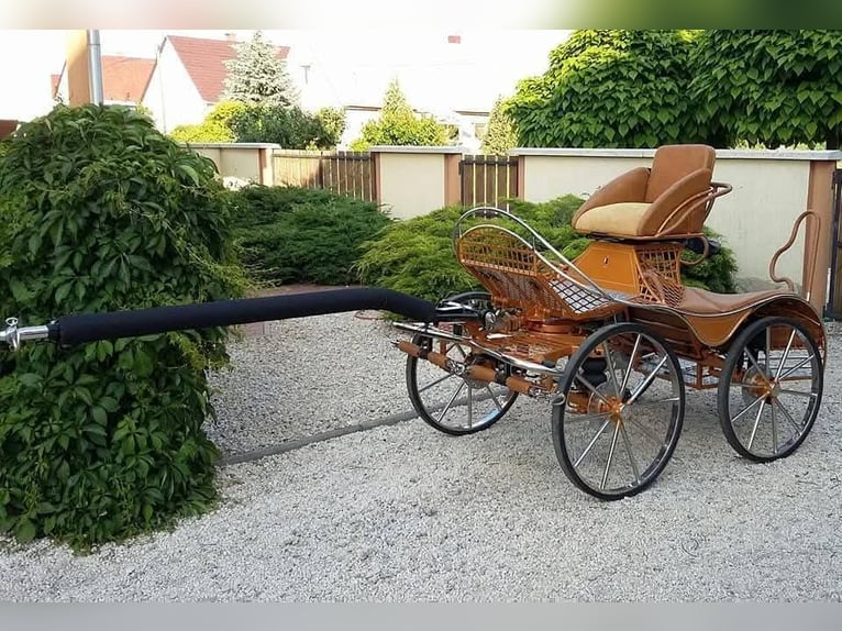 Dominiak marathon carriage for sale