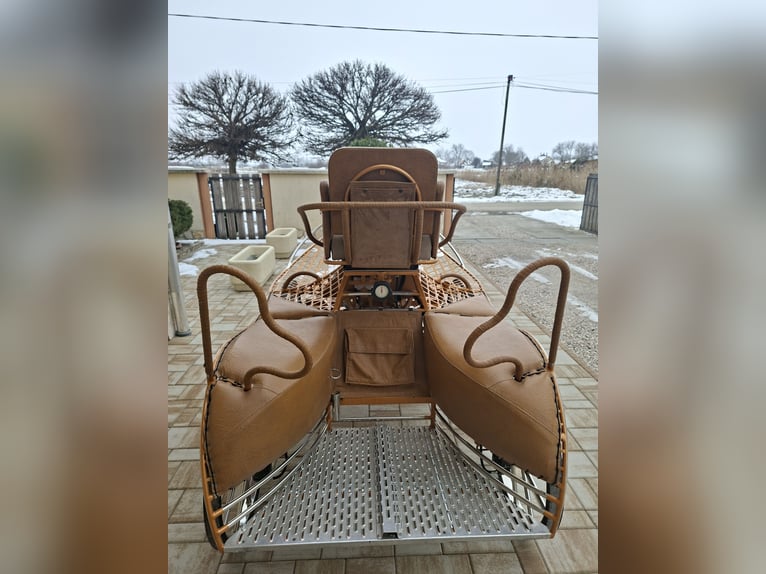 Dominiak pony pair marathon 