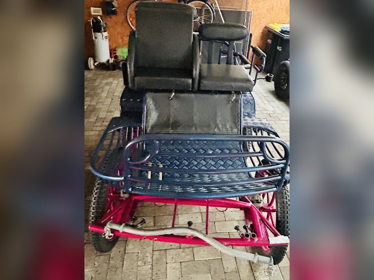 Kutsche Marathonwagen gebraucht