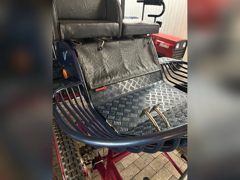 Kutsche Marathonwagen gebraucht