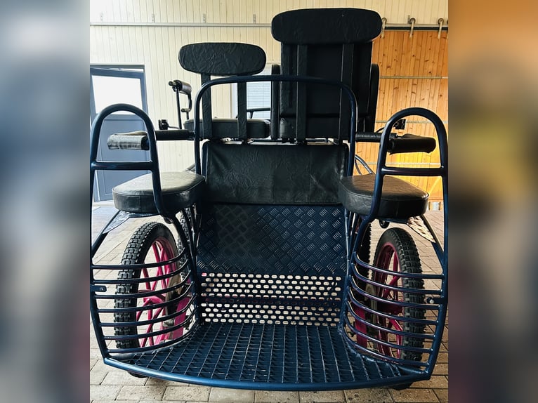 Kutsche Marathonwagen gebraucht