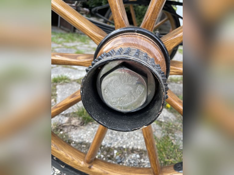 Noble Leisure Carriage / Wagonette – Walter Carriages