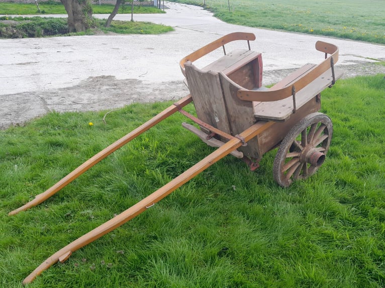 Pony carriage