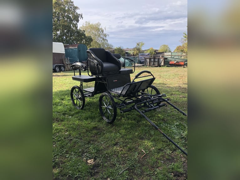 Shetty pony cart for marathon driving