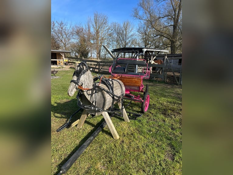 Small horse-drawn carriage