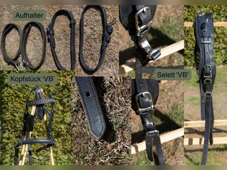 Versatile carriage – suitable for 1- or 2-horse teams – includes accessories!