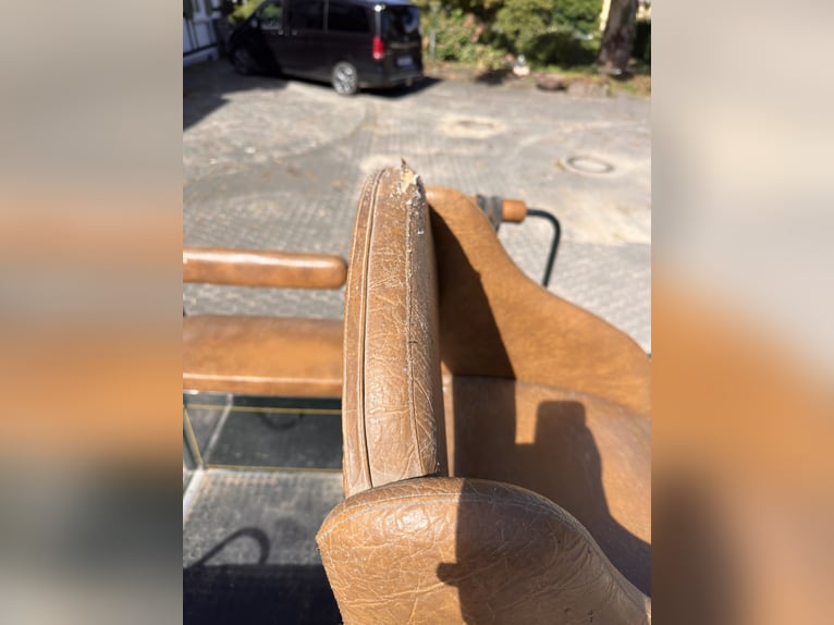 Versatile carriage – suitable for 1- or 2-horse teams – includes accessories!