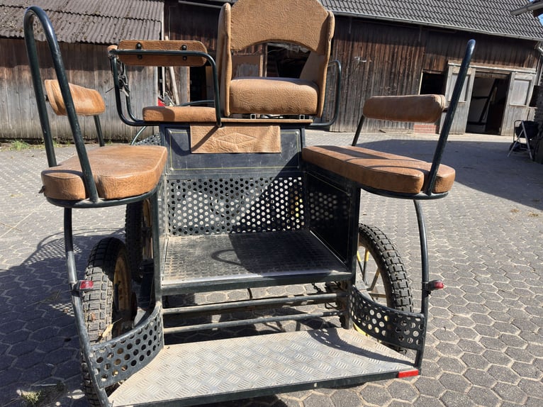 Versatile carriage – suitable for 1- or 2-horse teams – includes accessories!