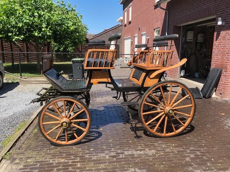 Beautiful wagonette-style carriage, suitable for hunting.
