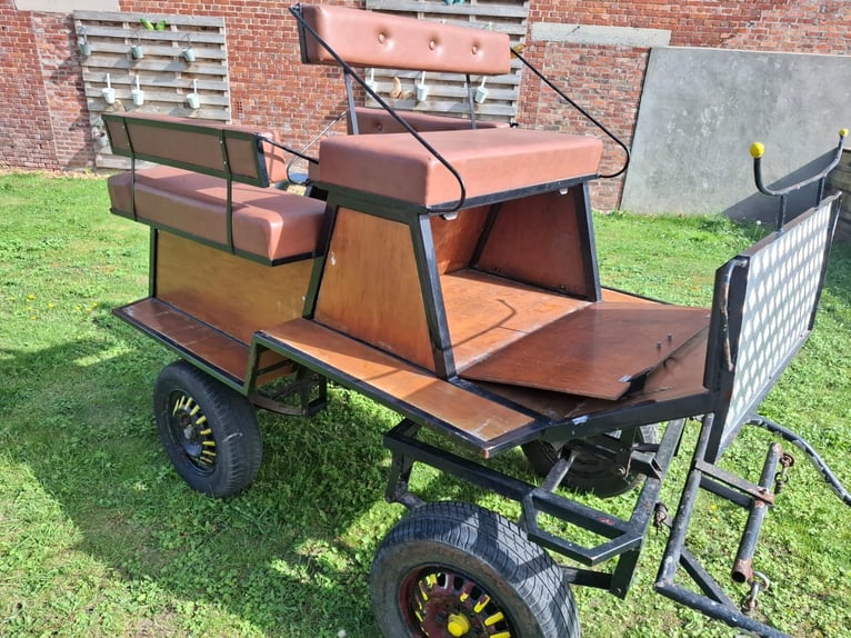 Carriage with bridle and all accompanying equipment