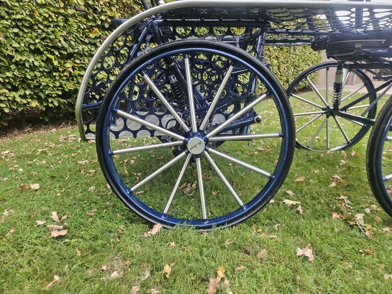 Enkelspan de laat marathonkoets