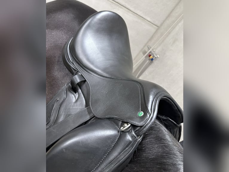 Envy Motion 17-inch dressage saddle