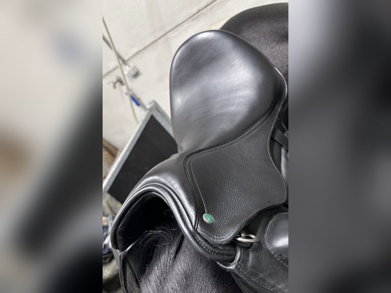 Envy Motion 17-inch dressage saddle