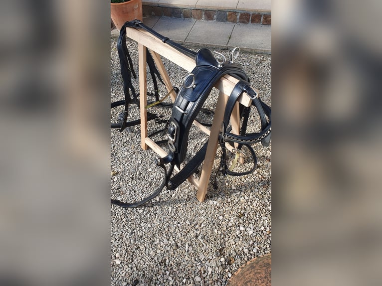 Harness, single harness