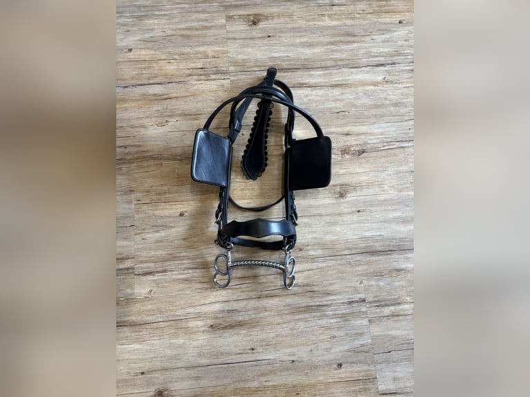 Hermanos Gomez Harness, single harness for driving