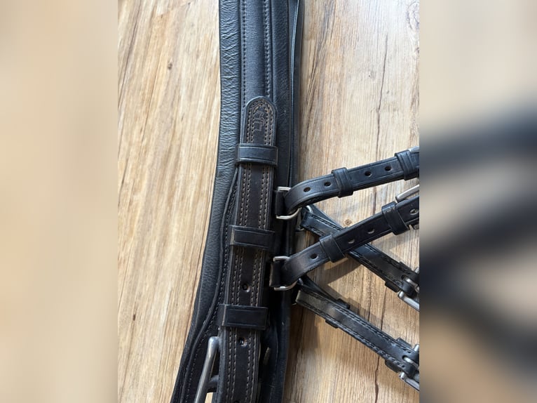 Hermanos Gomez Harness, single harness for driving