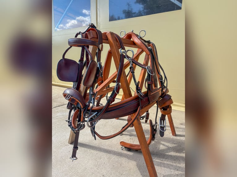 Two-pony marathon harness